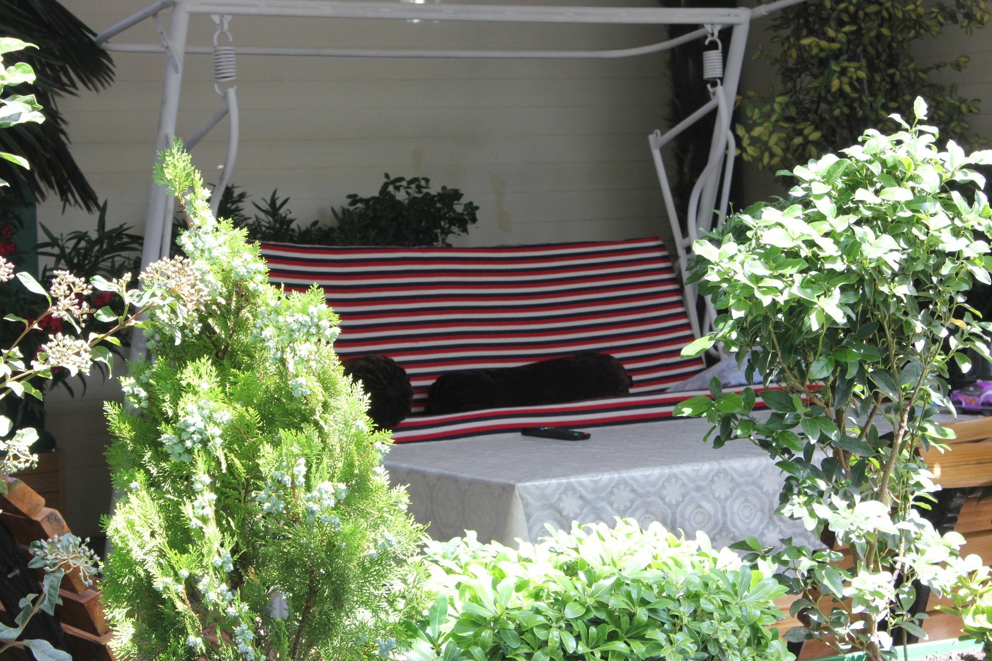 Vedzisi Garden Hotel Tbilisi Exterior foto